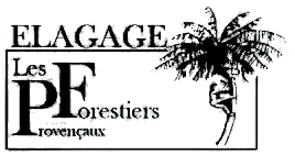 logo principal