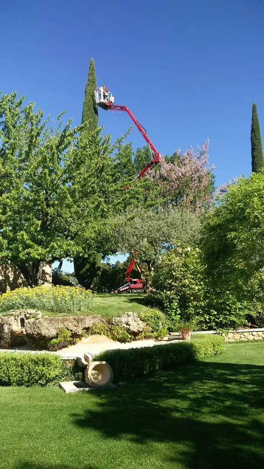 Débroussaillement près de Nice